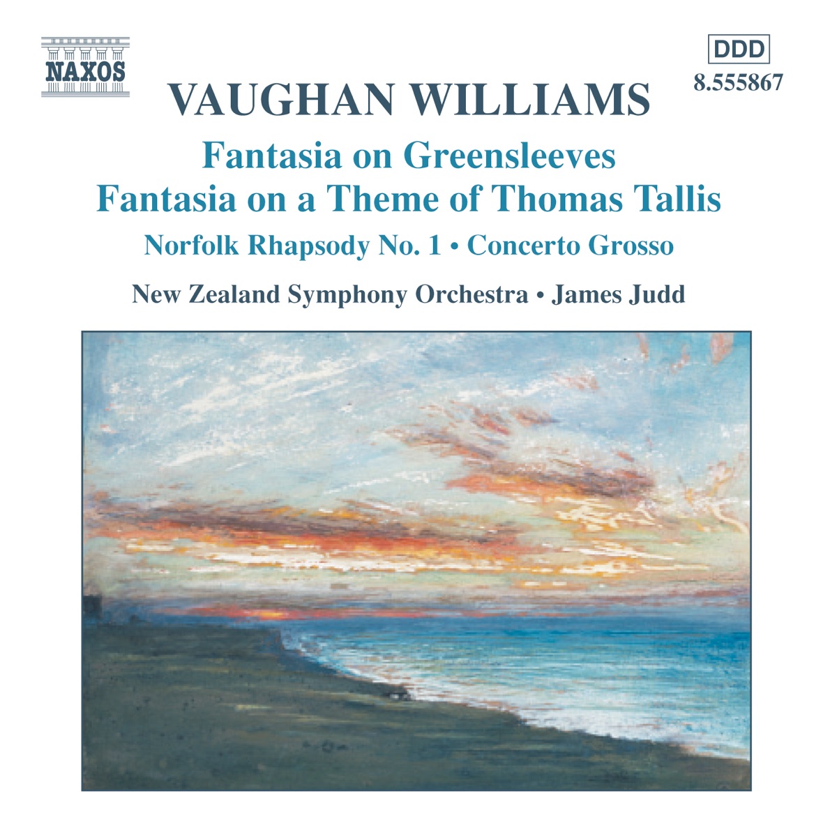 Vaughan Williams: Fantasias / Norfolk Rhapsody / In the Fen Country / Concerto Grosso by James Judd & New Zealand Symphony Orchestra album cover