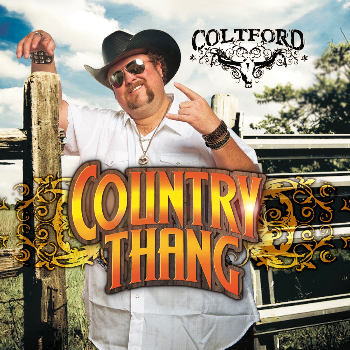 Country Thang - Single by Colt Ford album cover