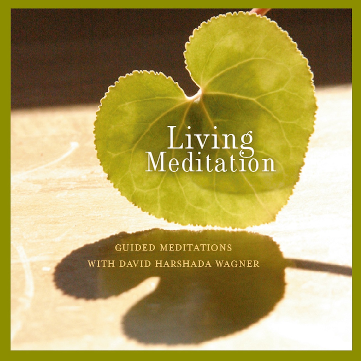 Living Meditation - Guided Meditations With David Harshada Wagner by Music for Deep Meditation album cover