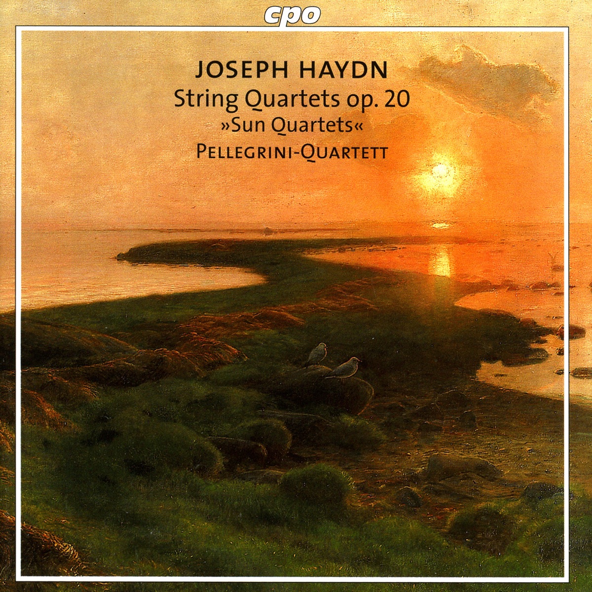 Haydn, J.: Sun Quartets, Op. 20 by Pellegrini Quartet album cover