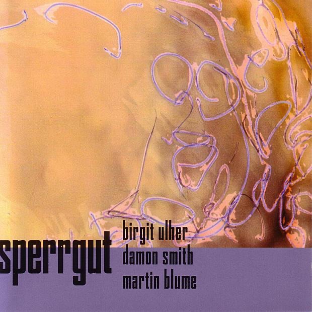 Sperrgut by Birgit Ulher album cover