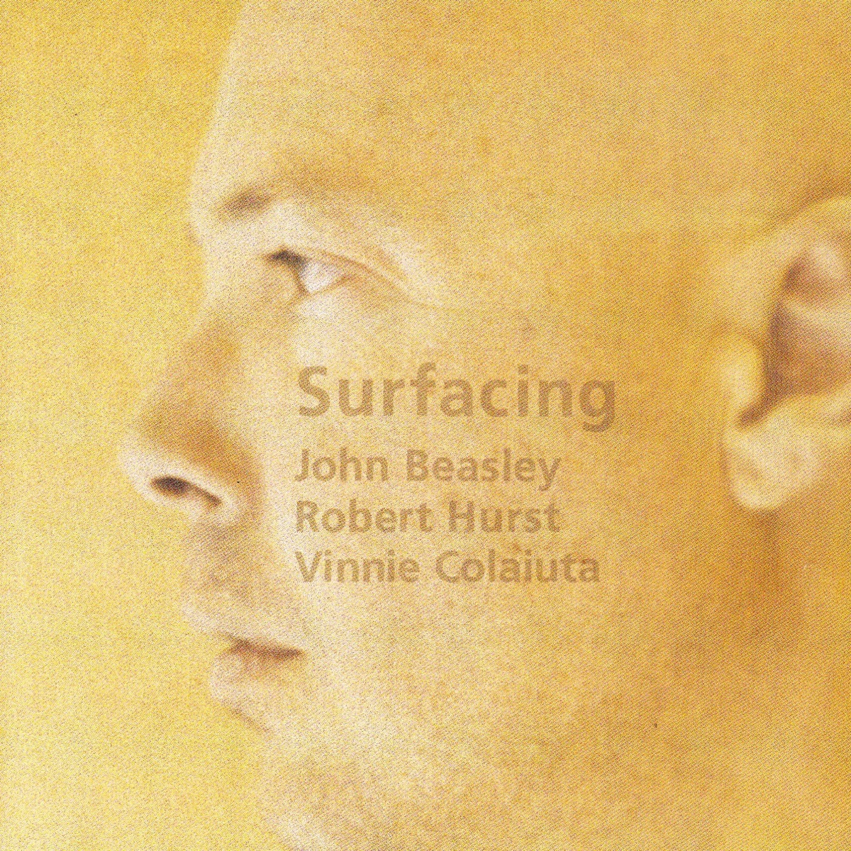 Surfacing by John Beasley, Robert Hurst & Vinnie Colaiuta album cover