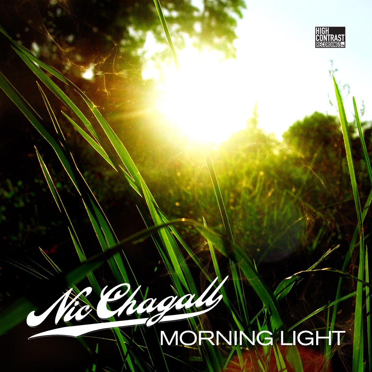 Morning Light - EP by Nic Chagall album cover
