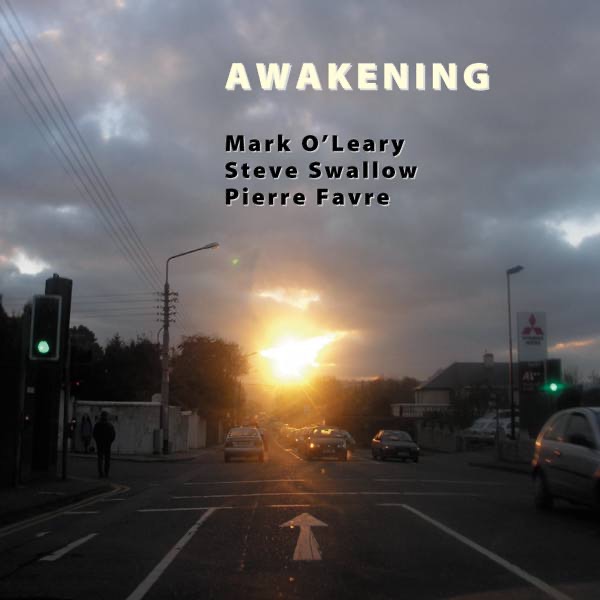 Awakening by Pierre Favre, Mark O'Leary & Steve Swallow album cover