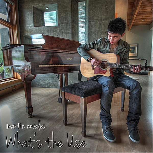 What's the Use - Single by Martin Novales album cover
