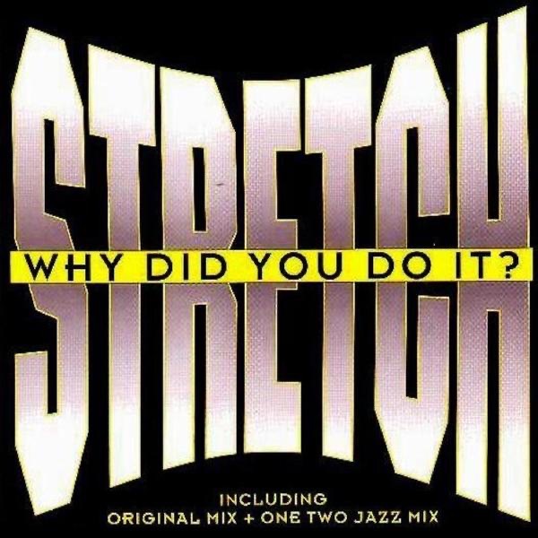 Why Did You Do It by Stretch album cover