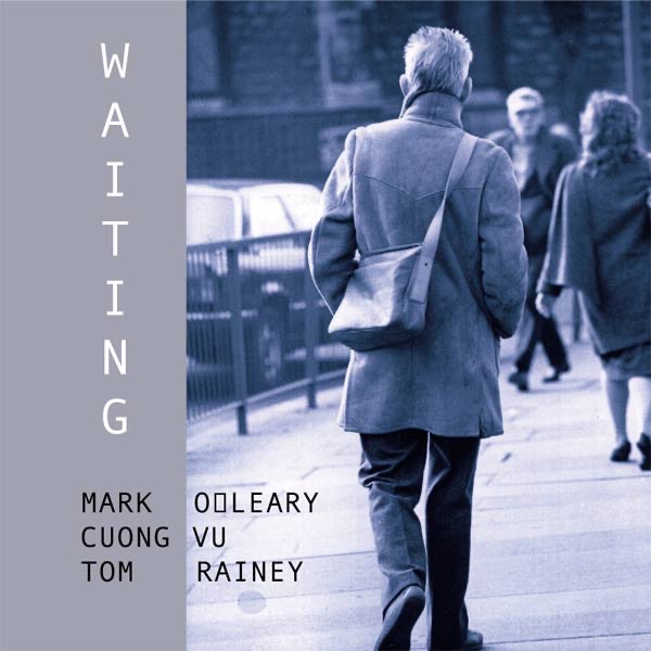 Waiting by Mark O'Leary, Cuong Vu & Tom Rainey album cover