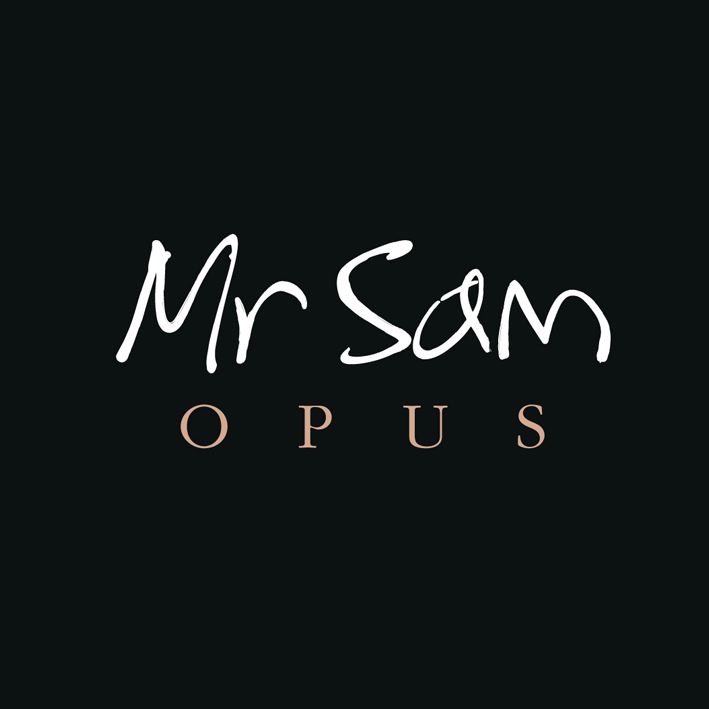 Opus by Mr Sam album cover