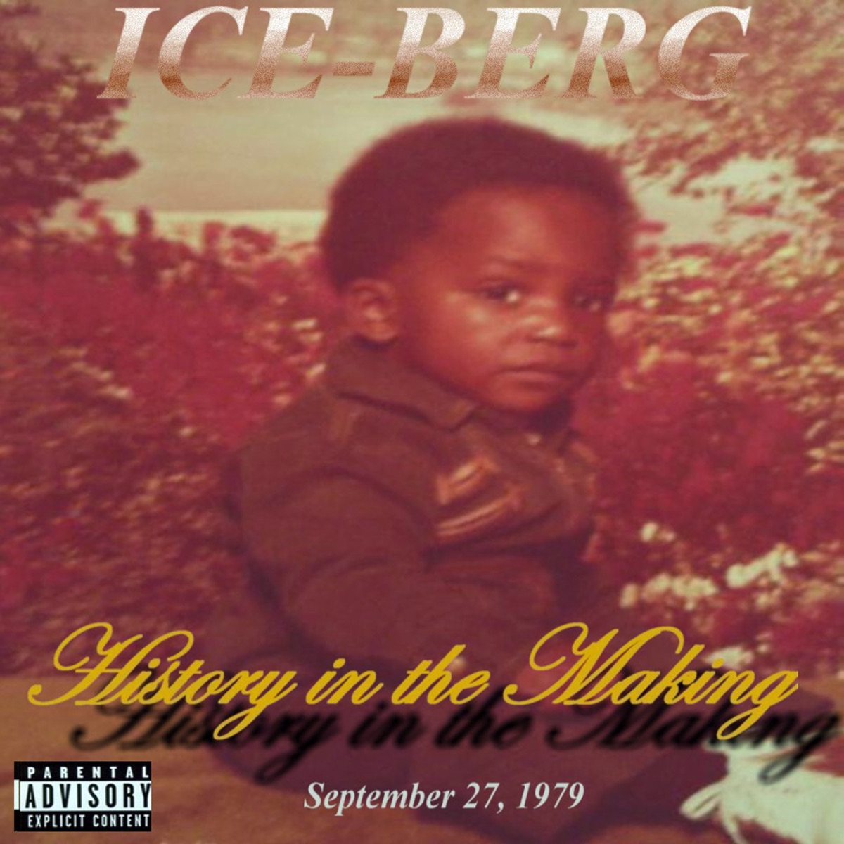 History In the Making by Iceberg album cover