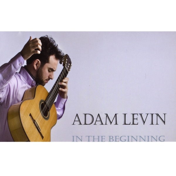 In the Beginning by Adam Levin album cover