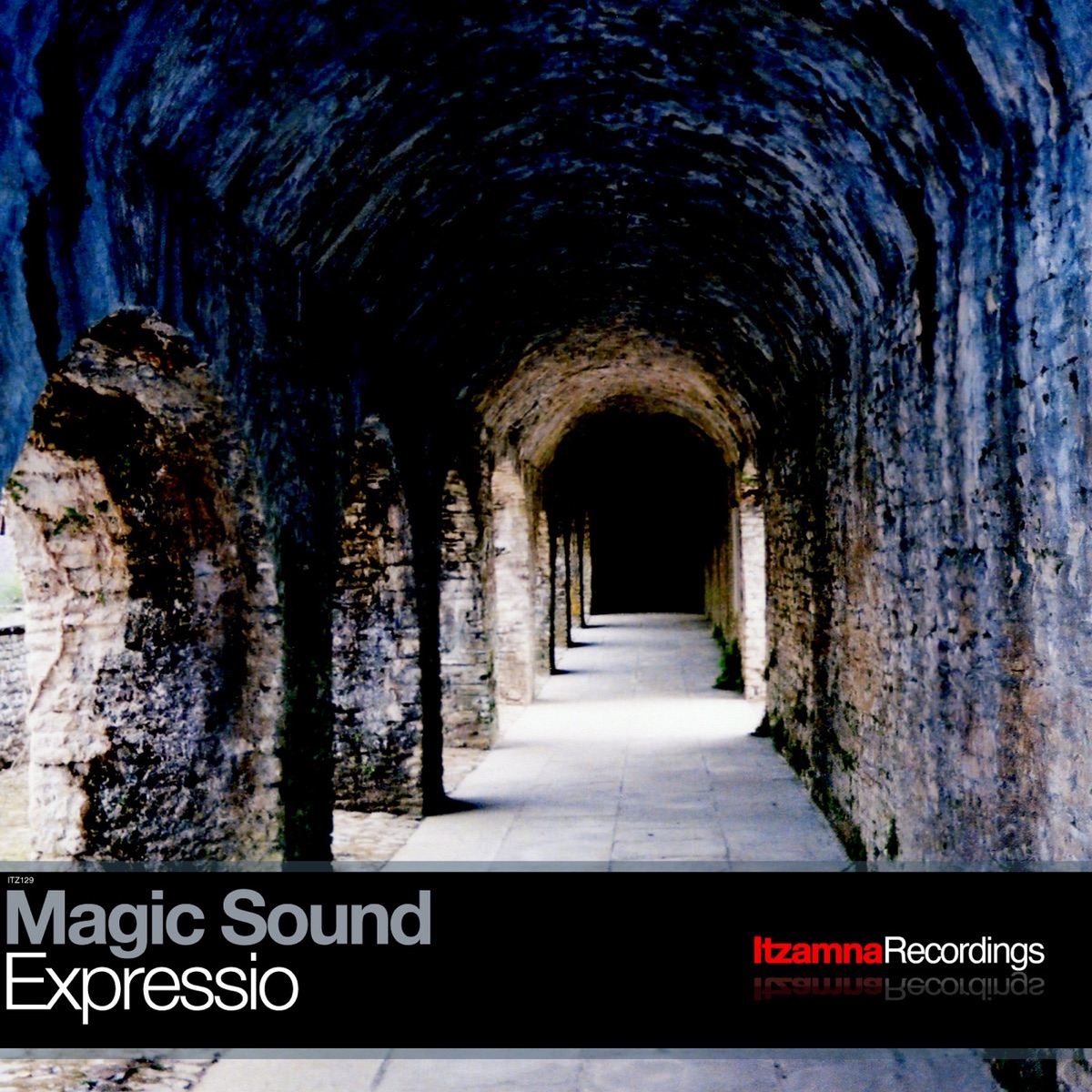 Expressio - Single by Magic Sound album cover