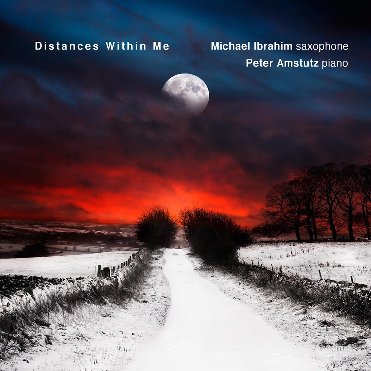 Distances Within Me by Michael Ibrahim & Peter Amstutz album cover