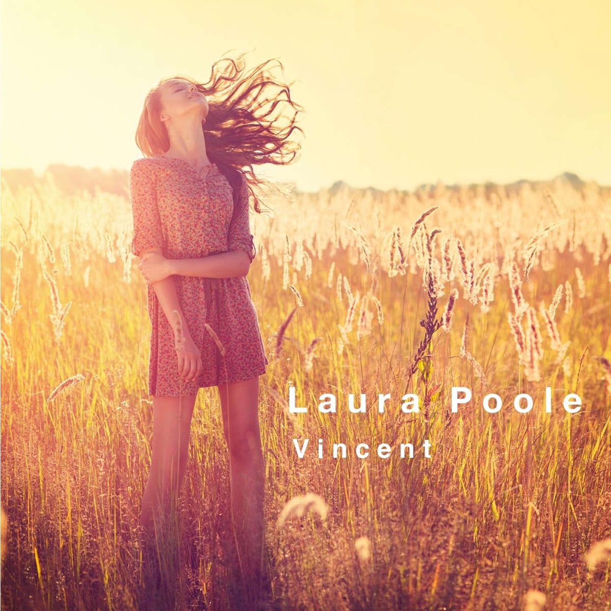 Vincent - Single by Laura Poole album cover