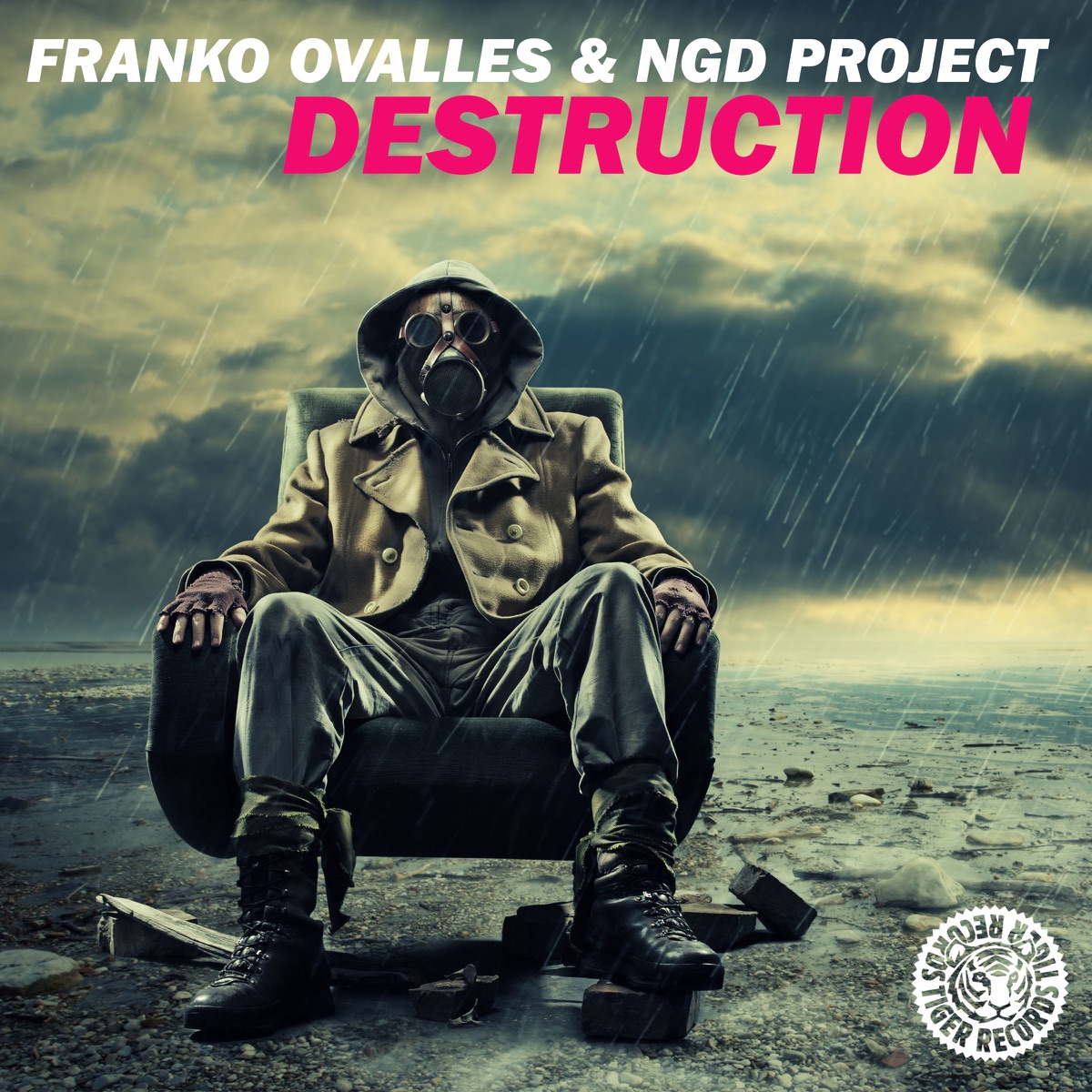 Destruction - Single by Franko Ovalles & Ngd Project album cover