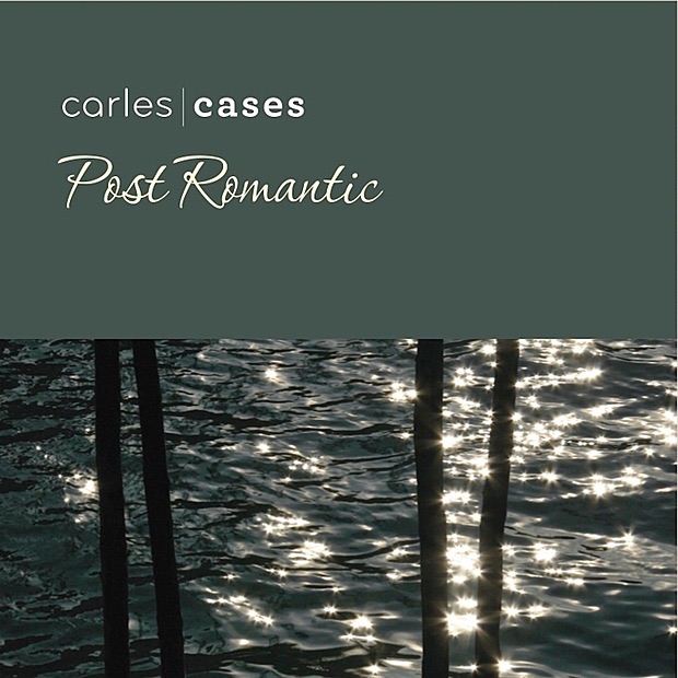 Post Romàntic by Carles Cases album cover