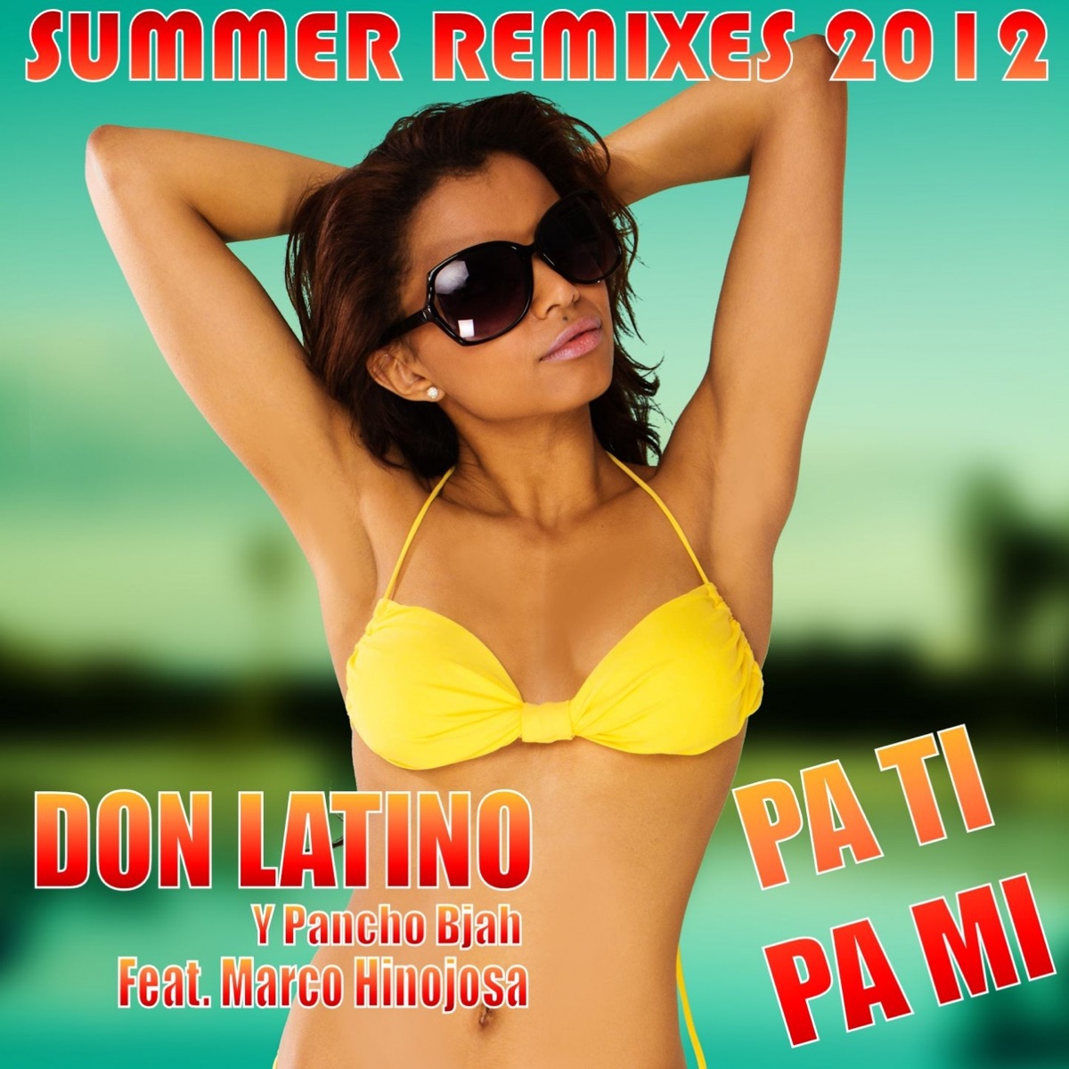 Pa Ti, Pa Mi (Summer Remixes 2012) - EP by Don Latino & Pancho Bjah album cover