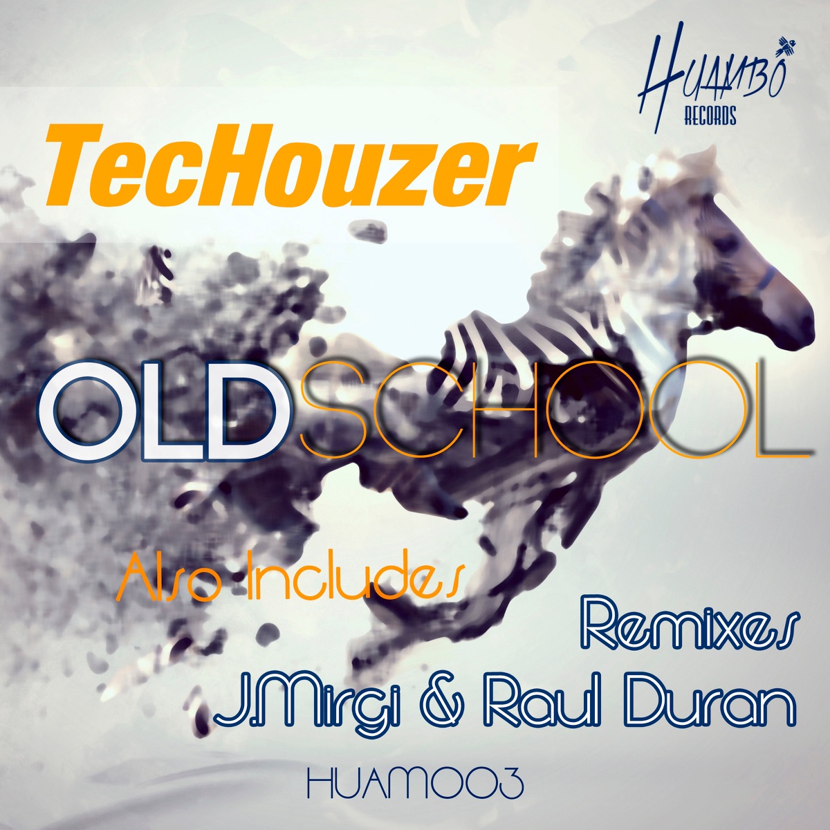 Oldschool - Single by TecHouzer album cover