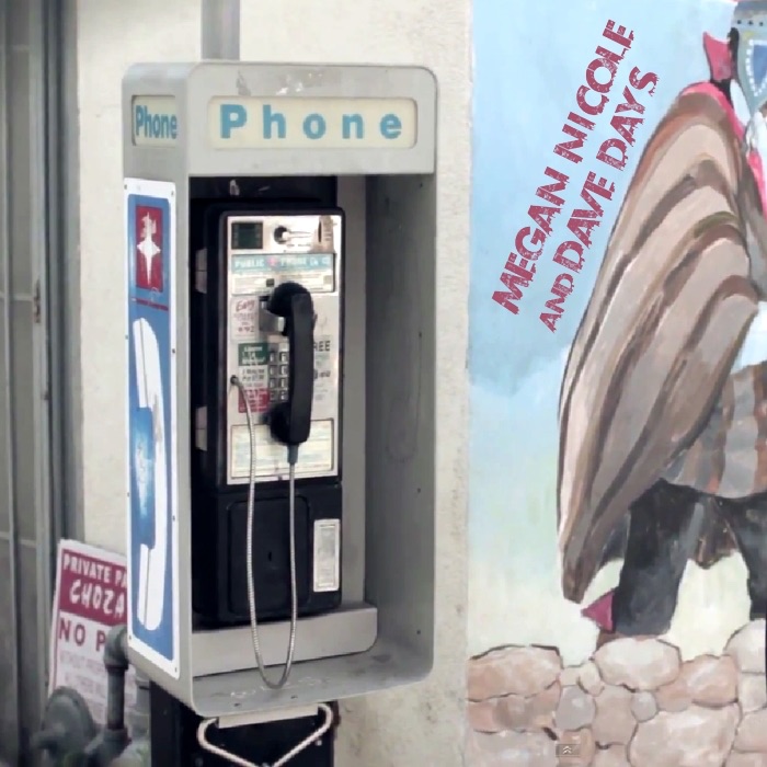 Payphone - Single by Megan Nicole & Dave Days album cover