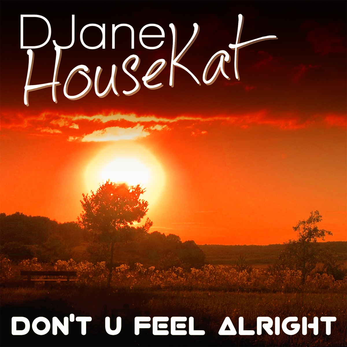 Don't You Feel Alright - Single by DJane HouseKat album cover