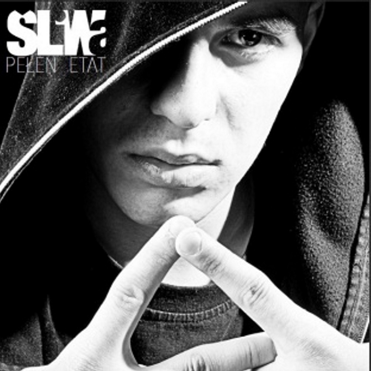 Pełen Etat by Śliwa album cover
