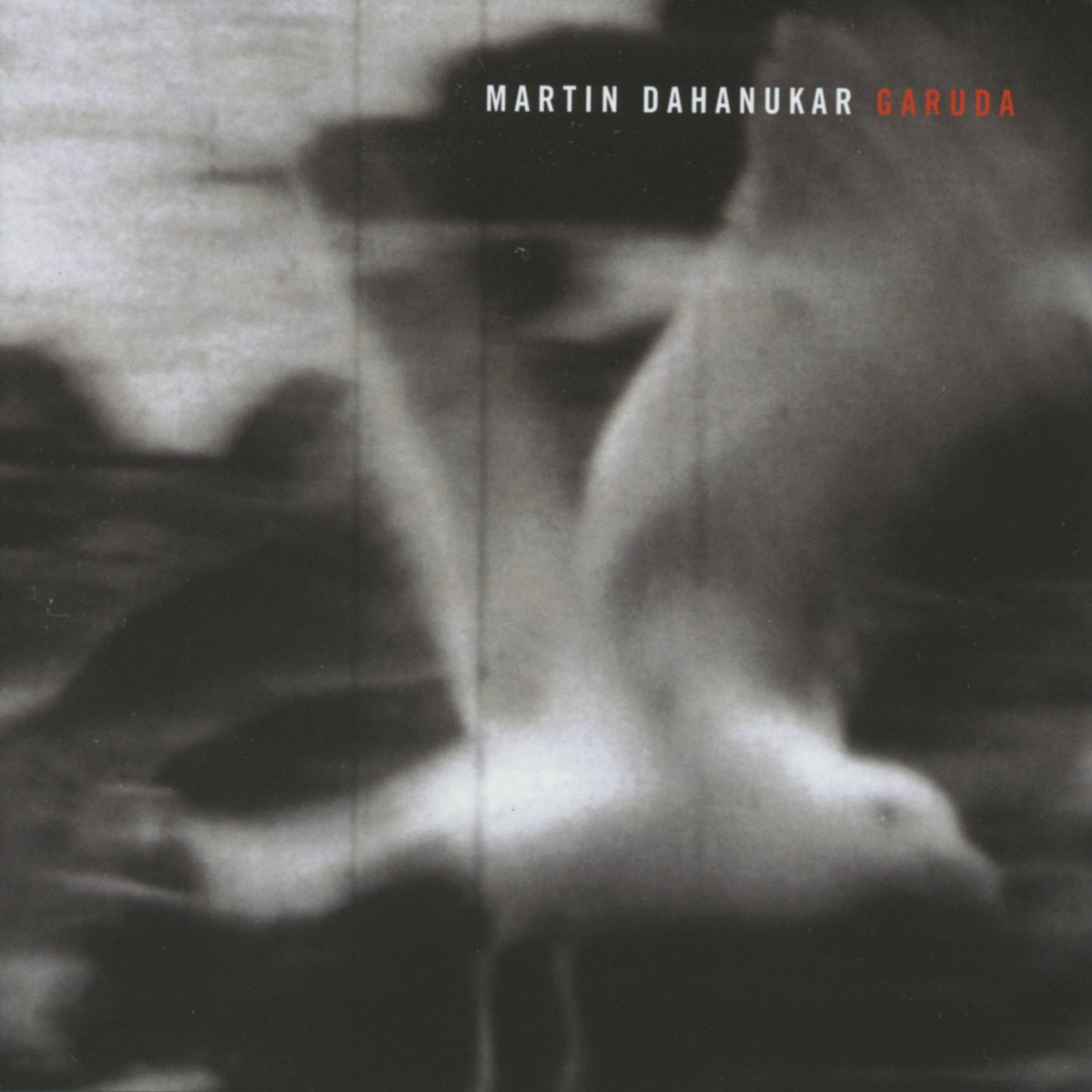 Garuda (with Vinz Vonlanthen, Samuel Joss & Peter Horisberger) by Martin Dahanukar, Vinz Vonlanthen, Samuel Joss & Peter Horisberger album cover