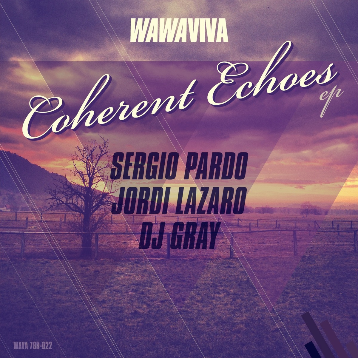 Coherent Echoes EP by Sergio Pardo, Jordi lazaro & DJ Gray album cover
