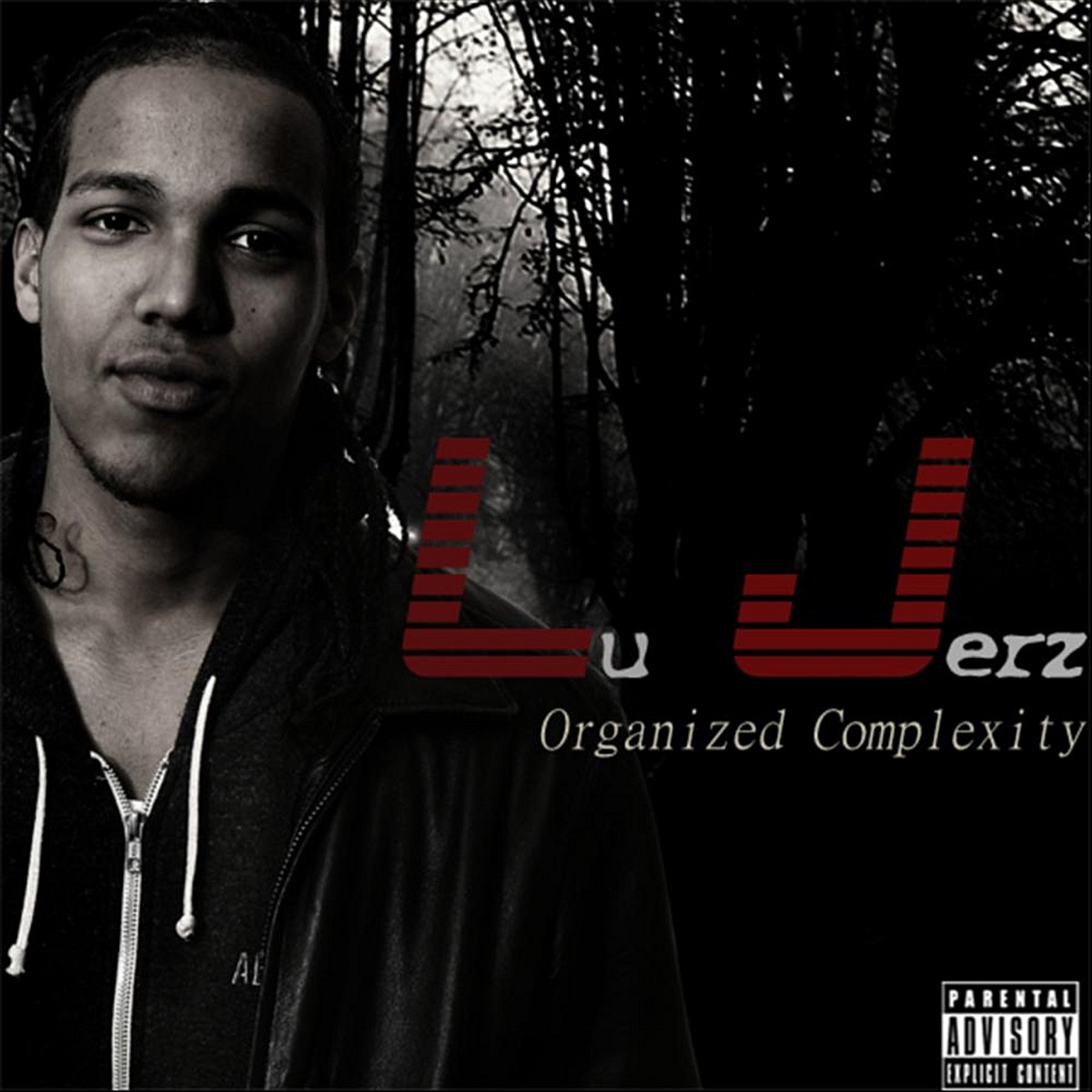 Organized Complexity by Lu Jerz album cover