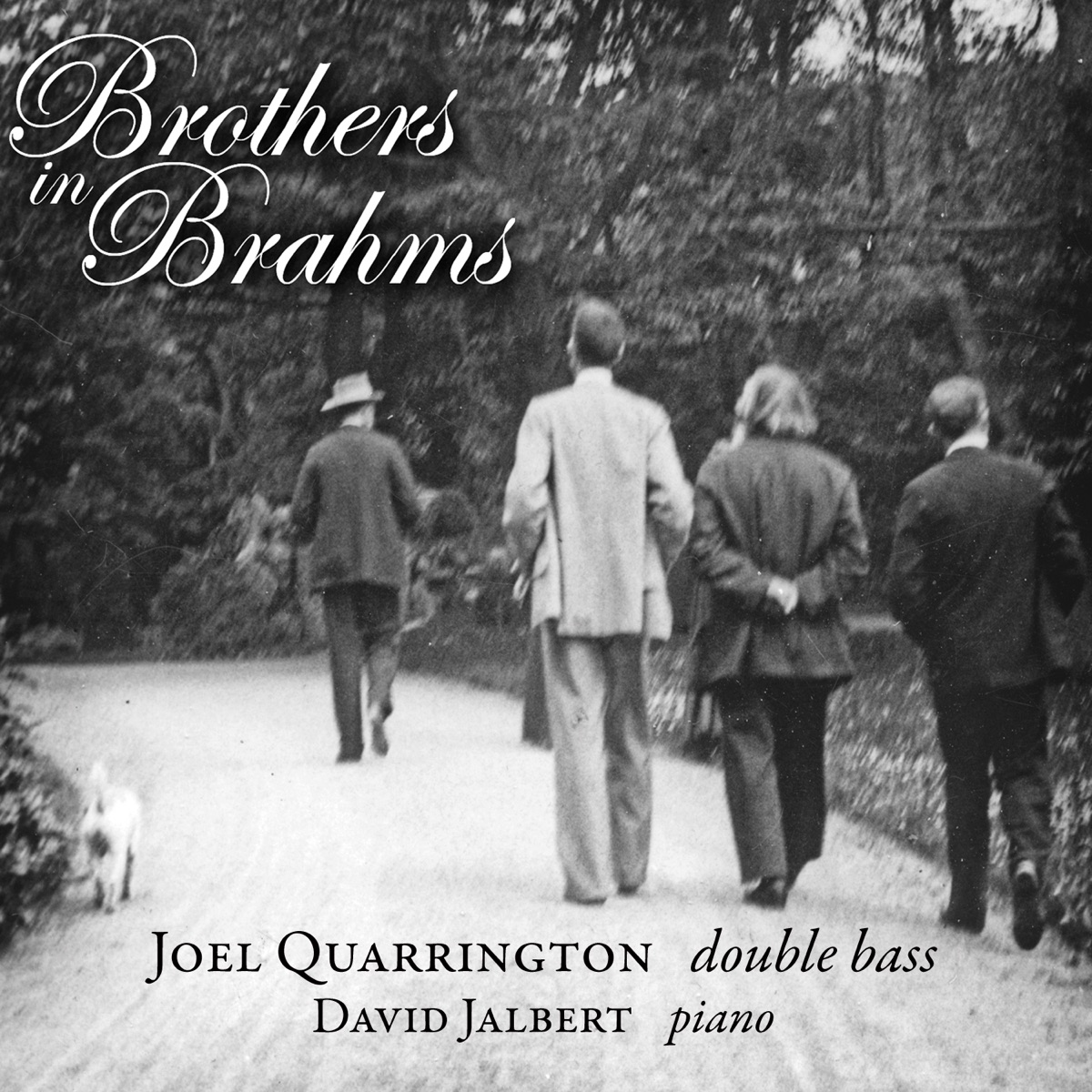 Brothers in Brahms by Joel Quarrington & David Jalbert album cover