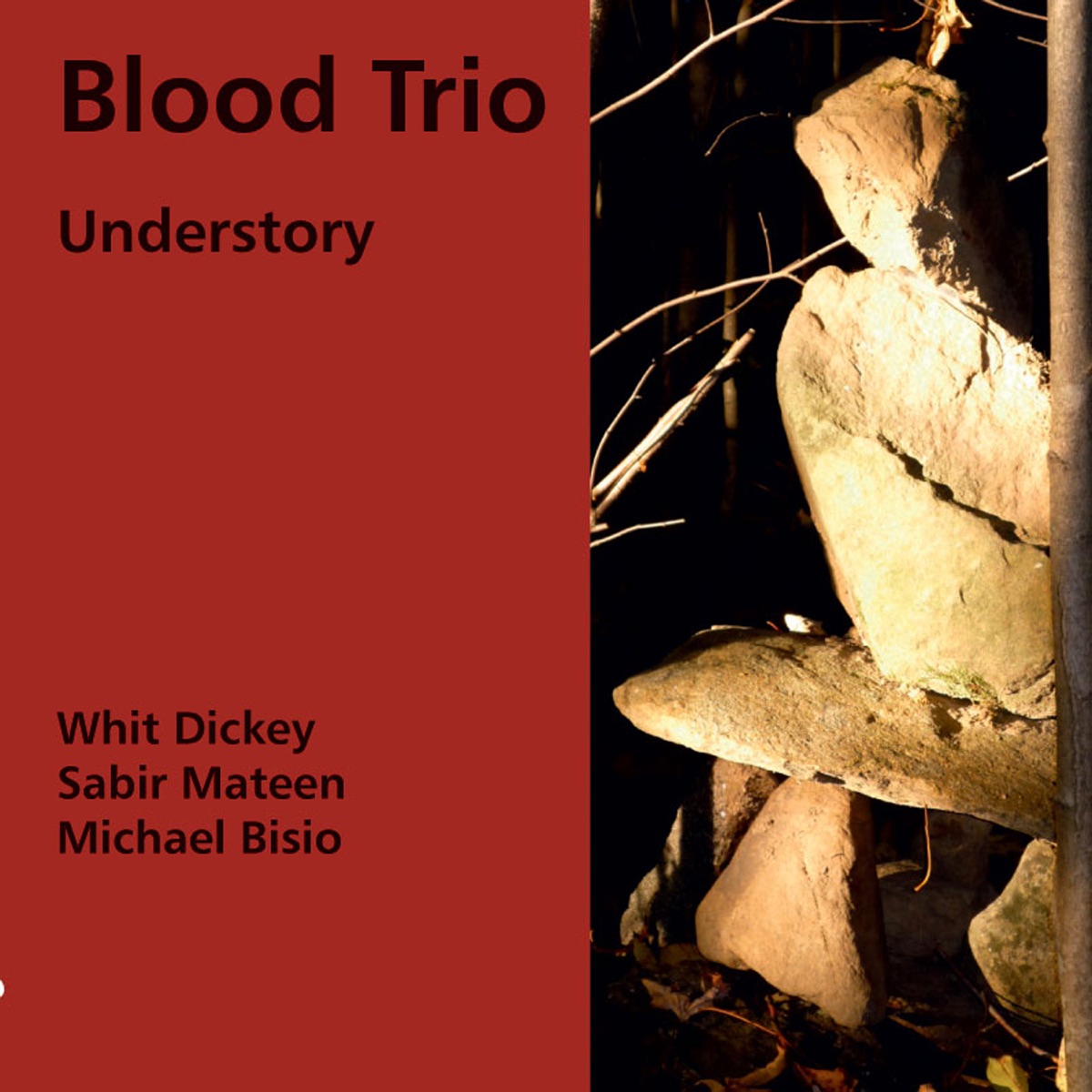 Understory (feat. Sabir Mateen, Michael Bisio & Whit Dickey) by Blood Trio album cover