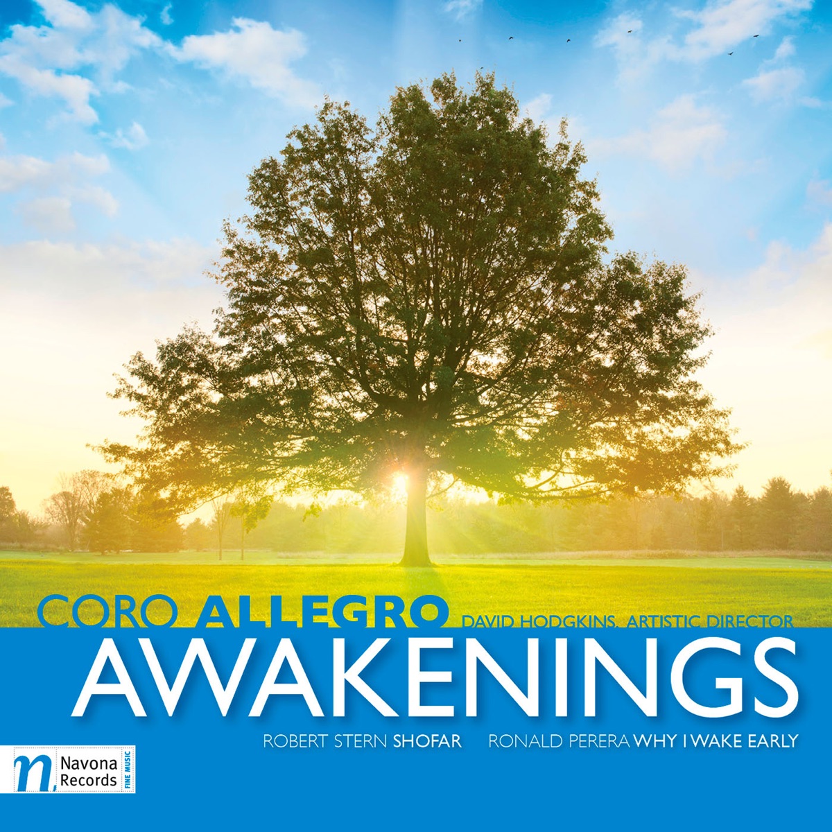 Awakenings by David Hodgkins & Coro Allegro album cover