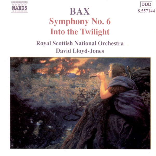 Symphony No. 6 - Into The Twilight by David Lloyd-Jones & Royal Scottish National Orchestra album cover