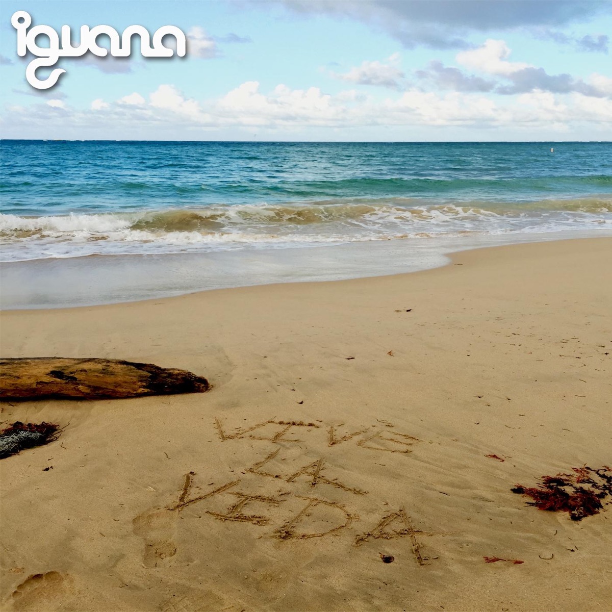 Vive la Vida - EP by Iguana album cover