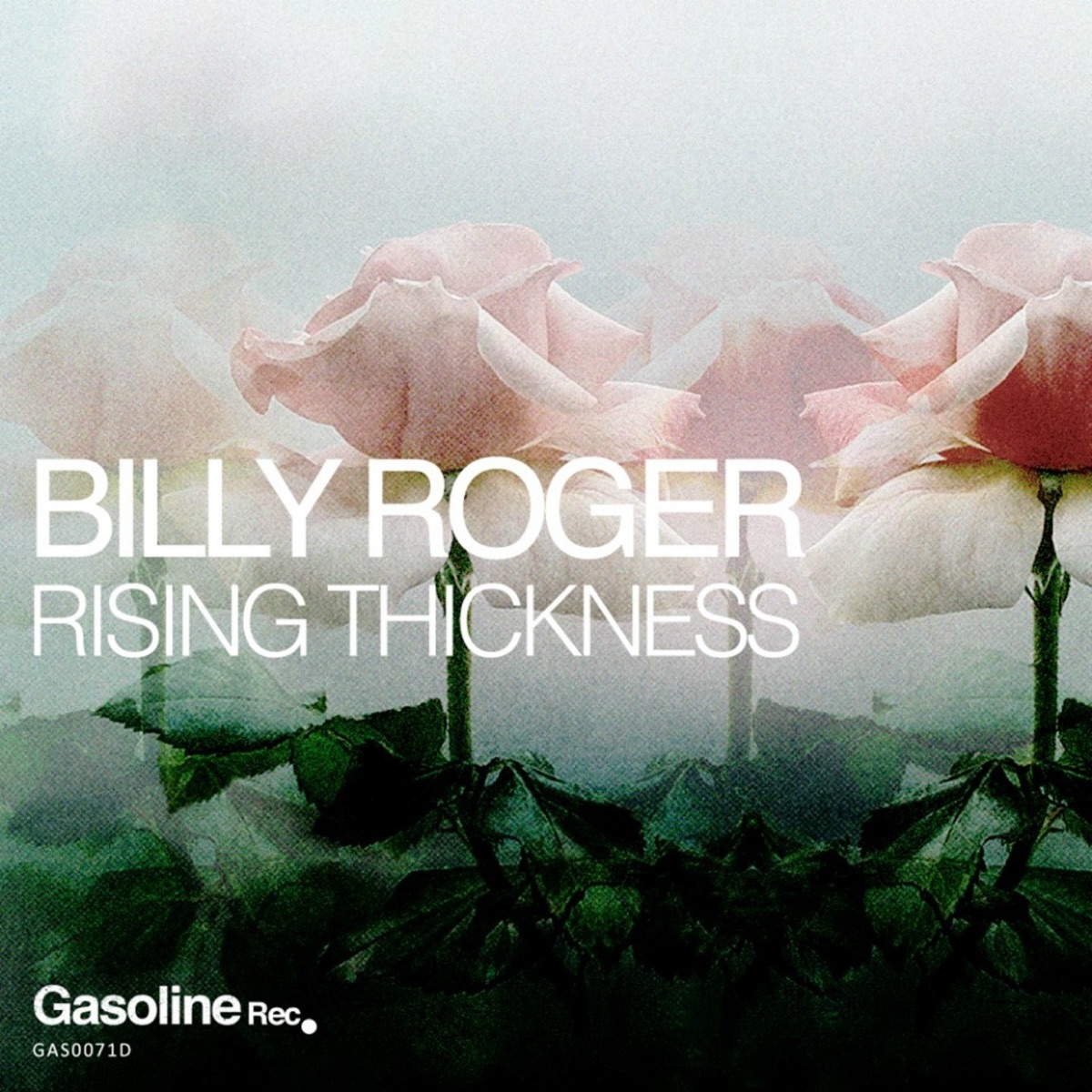 Rising Thickness - Single by Billy Roger album cover