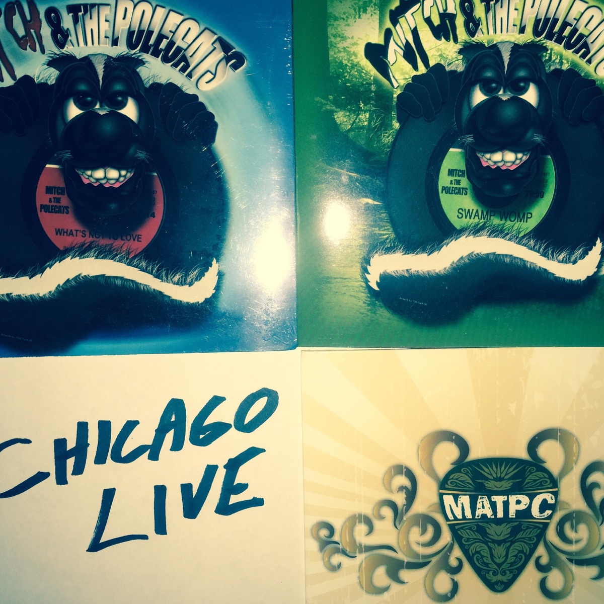 Chicago Live by Mitch & The Polecats album cover