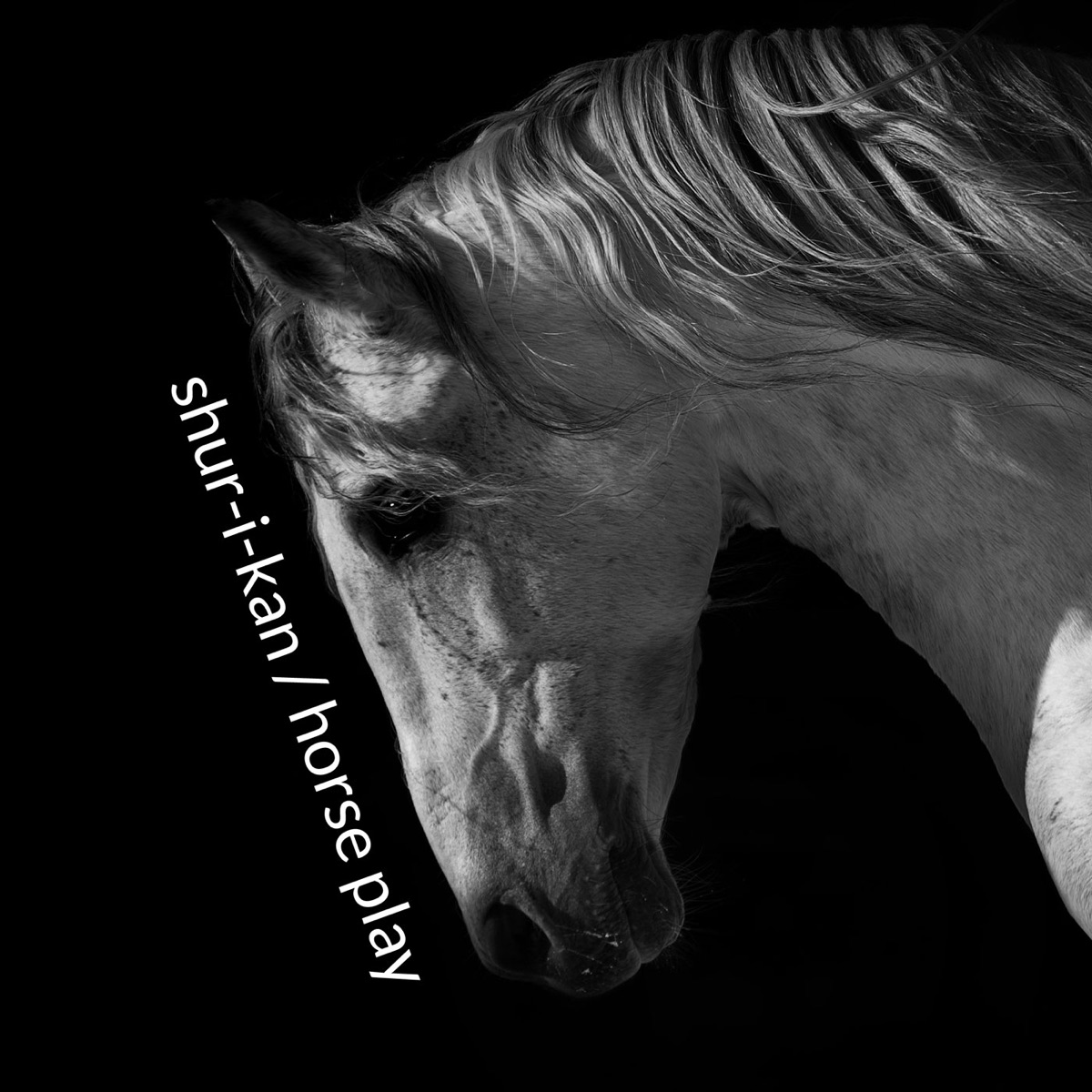 Horse Play - Single by Shur-I-Kan album cover