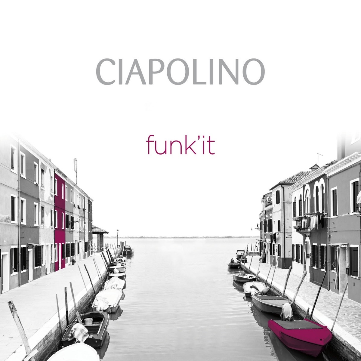 Funk'it (feat. Mike Clinton, Latabi Diouani, Kris Drever, Fidel Fourneyron & Alasdair White) - Single by Arnaud Ciapolino album cover