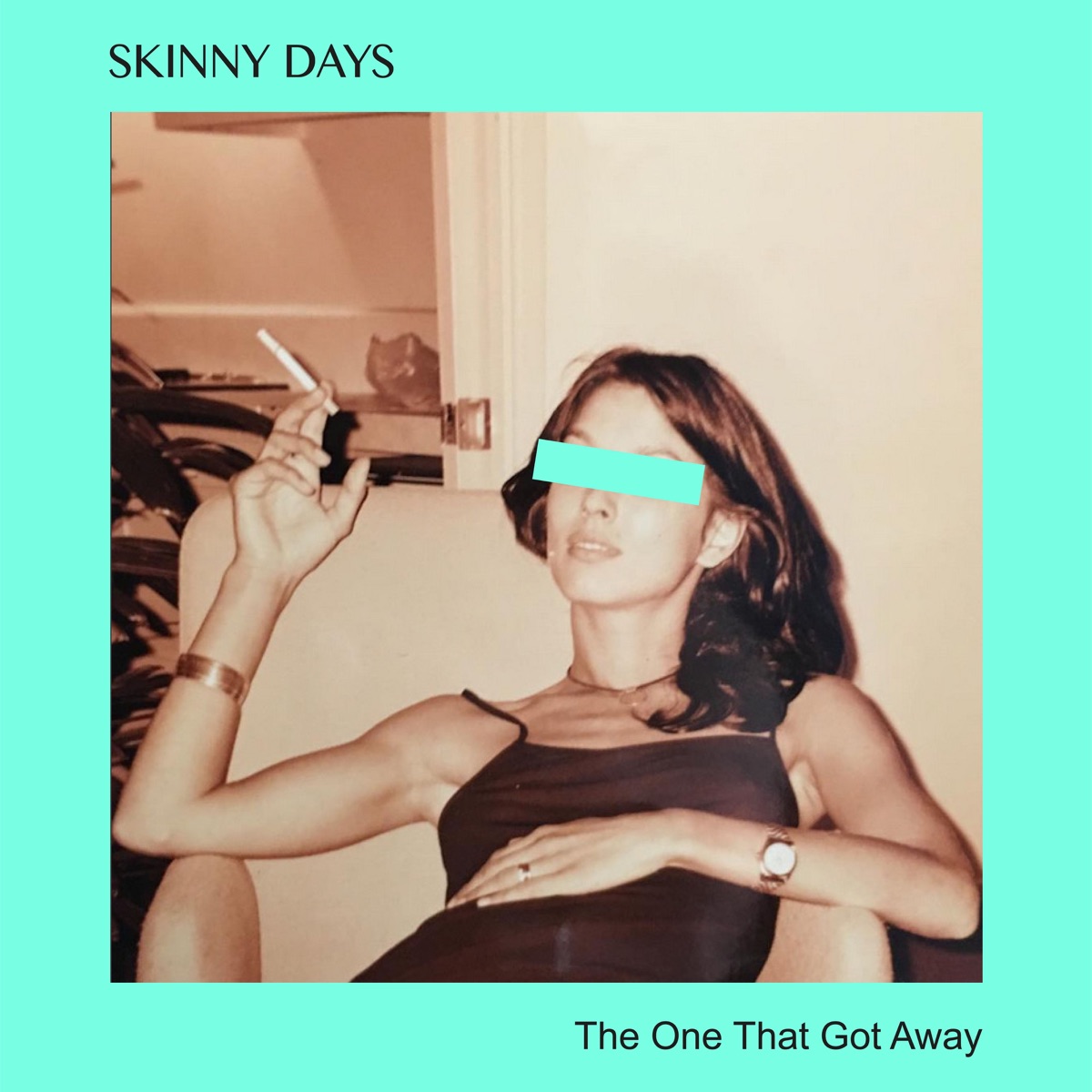 The One That Got Away (feat. Emilie Adams) - Single by Skinny Days album cover