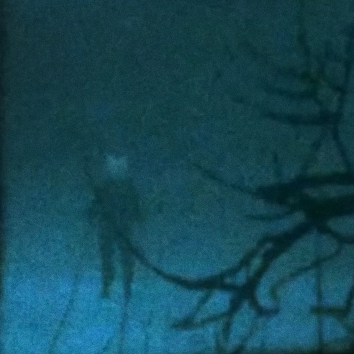i was only temporary (Remixes) - Single by my head is empty album cover