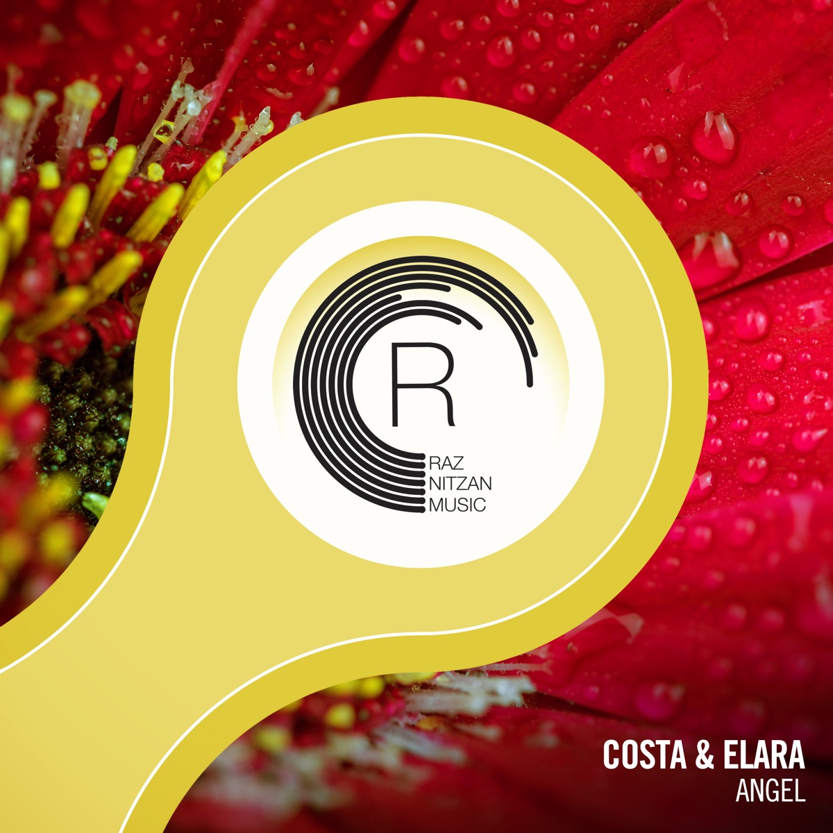 Angel - Single by Costa & Elara album cover