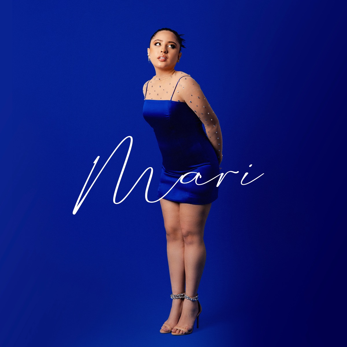 Cão Sem Dono - Single by Mari Fernandez album cover