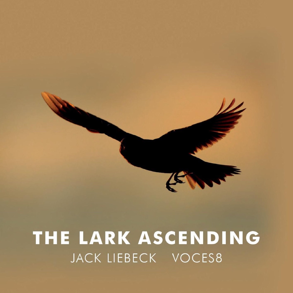 Vaughan Williams: The Lark Ascending (Arr. for Violin and Choir by Paul Drayton) - EP by Jack Liebeck & VOCES8 album cover