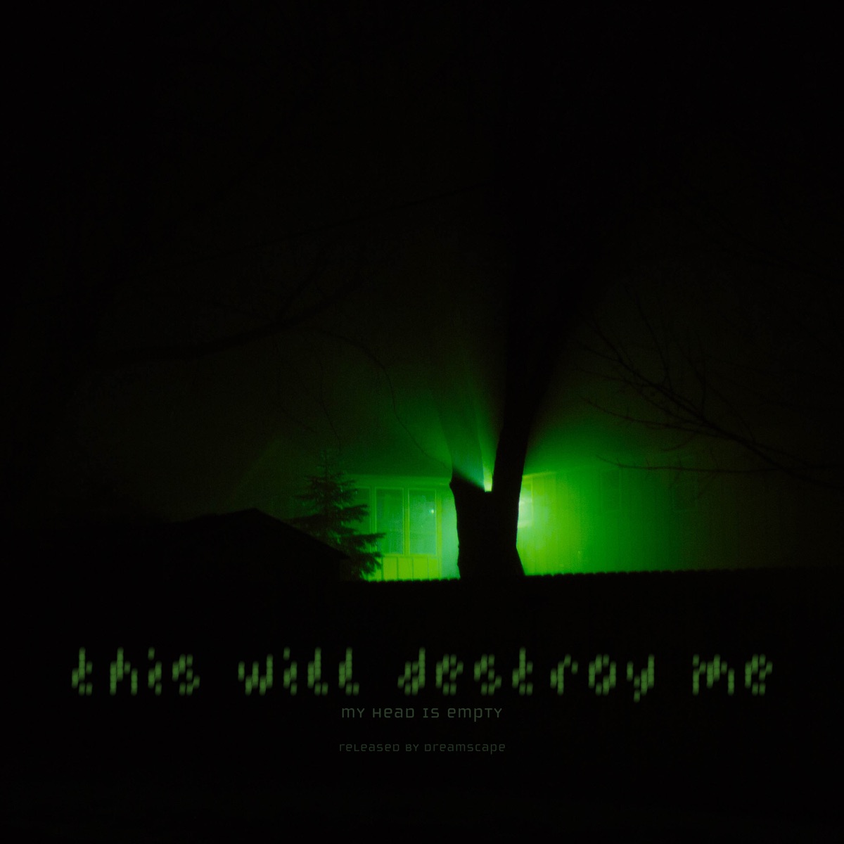 This Will Destroy Me - Single by my head is empty album cover