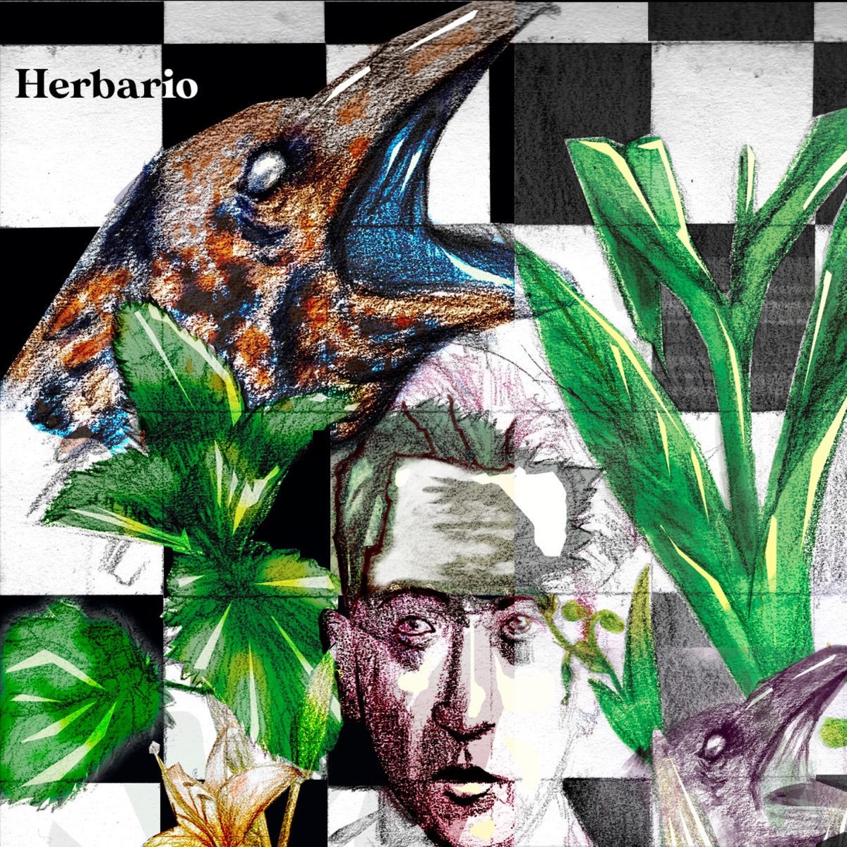 Herbario by Oidocronico & Obrigxdo album cover