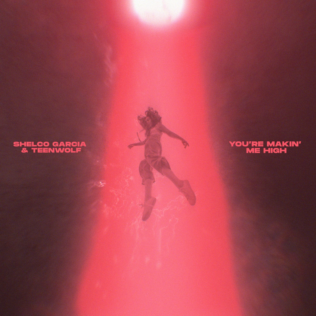 You're Makin' Me High - Single by Shelco Garcia & Teenwolf album cover