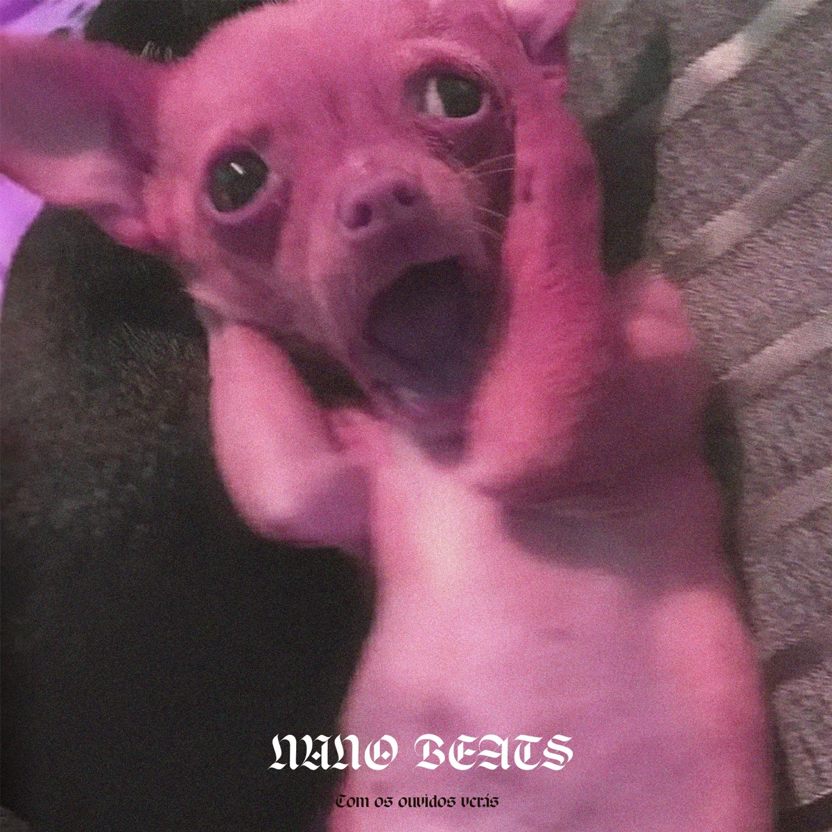 IH - Single by Nuno Beats album cover