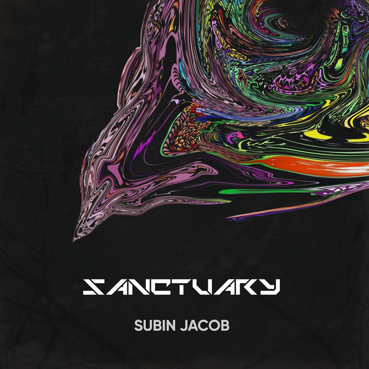Sanctuary - Single by Subin Jacob album cover