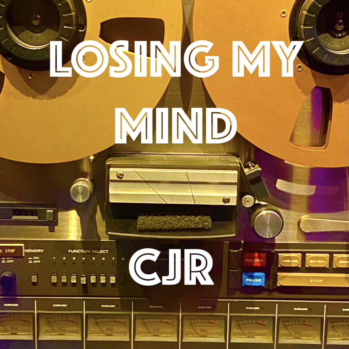 Losing My Mind - Single by CJR album cover