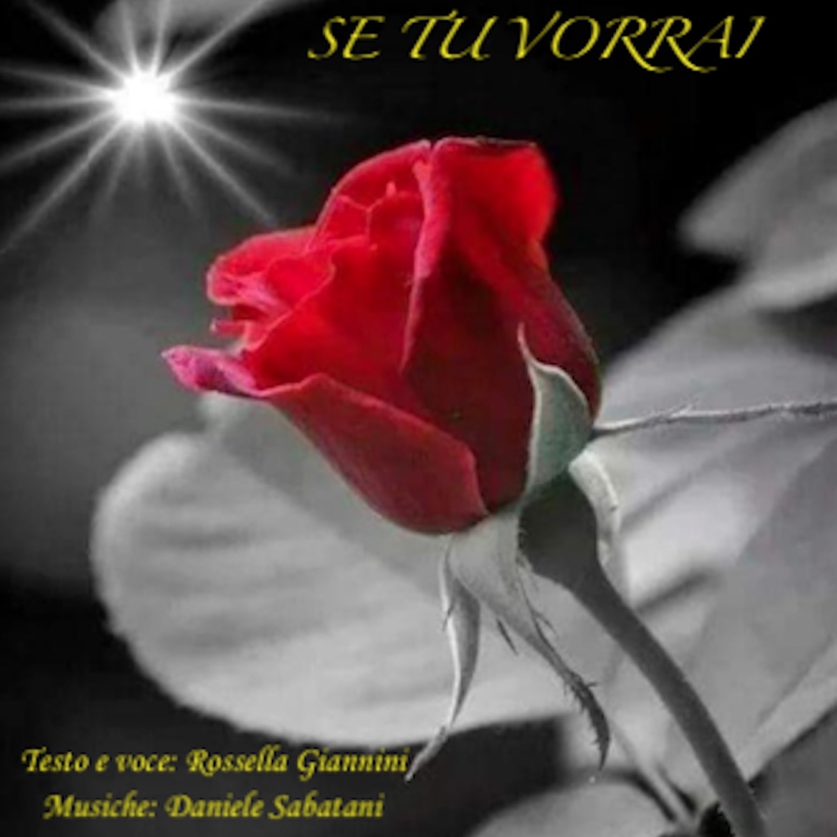 SE TU VORRAI - Single by Daniele Sabatani album cover