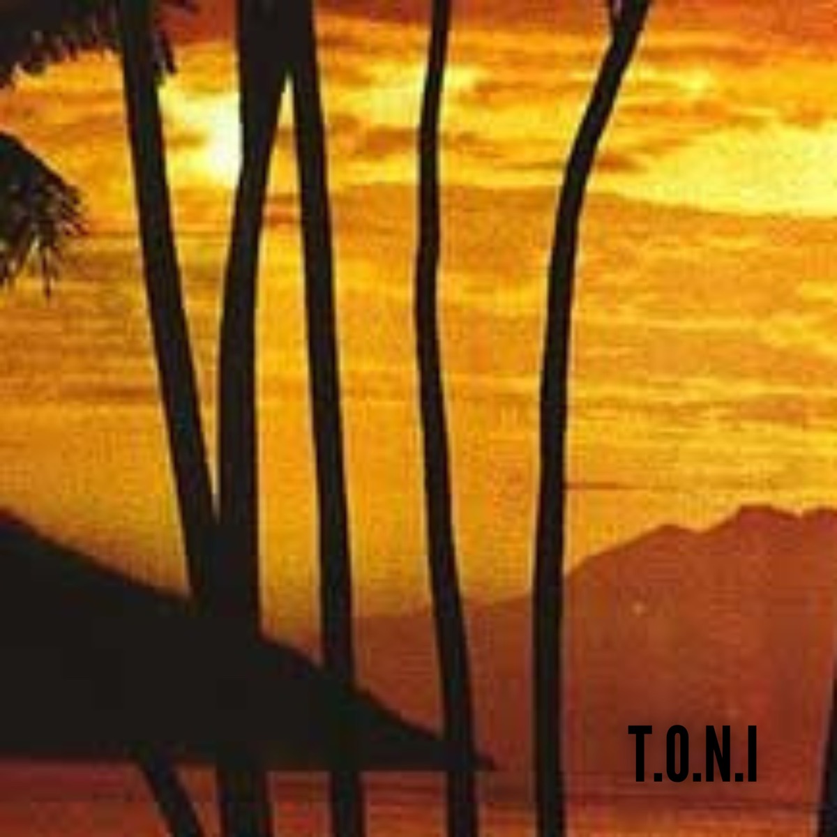 T.O.N.I - Single by La Casa Del Phonky album cover