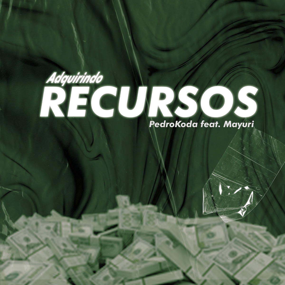 Adquirindo Recursos (feat. Mayuri) - Single by Pedro Koda album cover